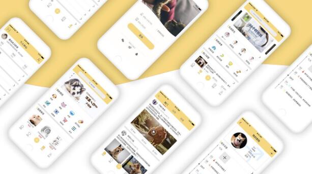 宠物医疗APP软件怎么开发？